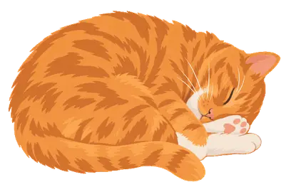 My cat Dr Harvey Cinnamon, curled up asleep