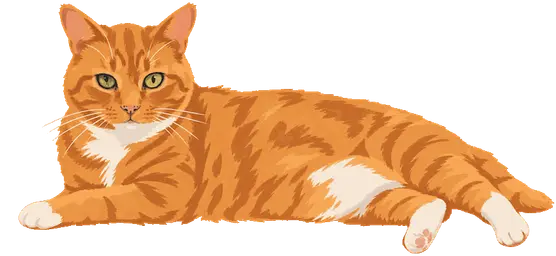 My cat Dr Harvey Cinnamon, lounging