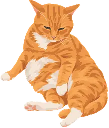 My cat Dr Harvey Cinnamon, slouching and unimpressed